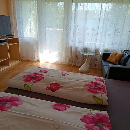 Offenburg Apartment 외부 사진