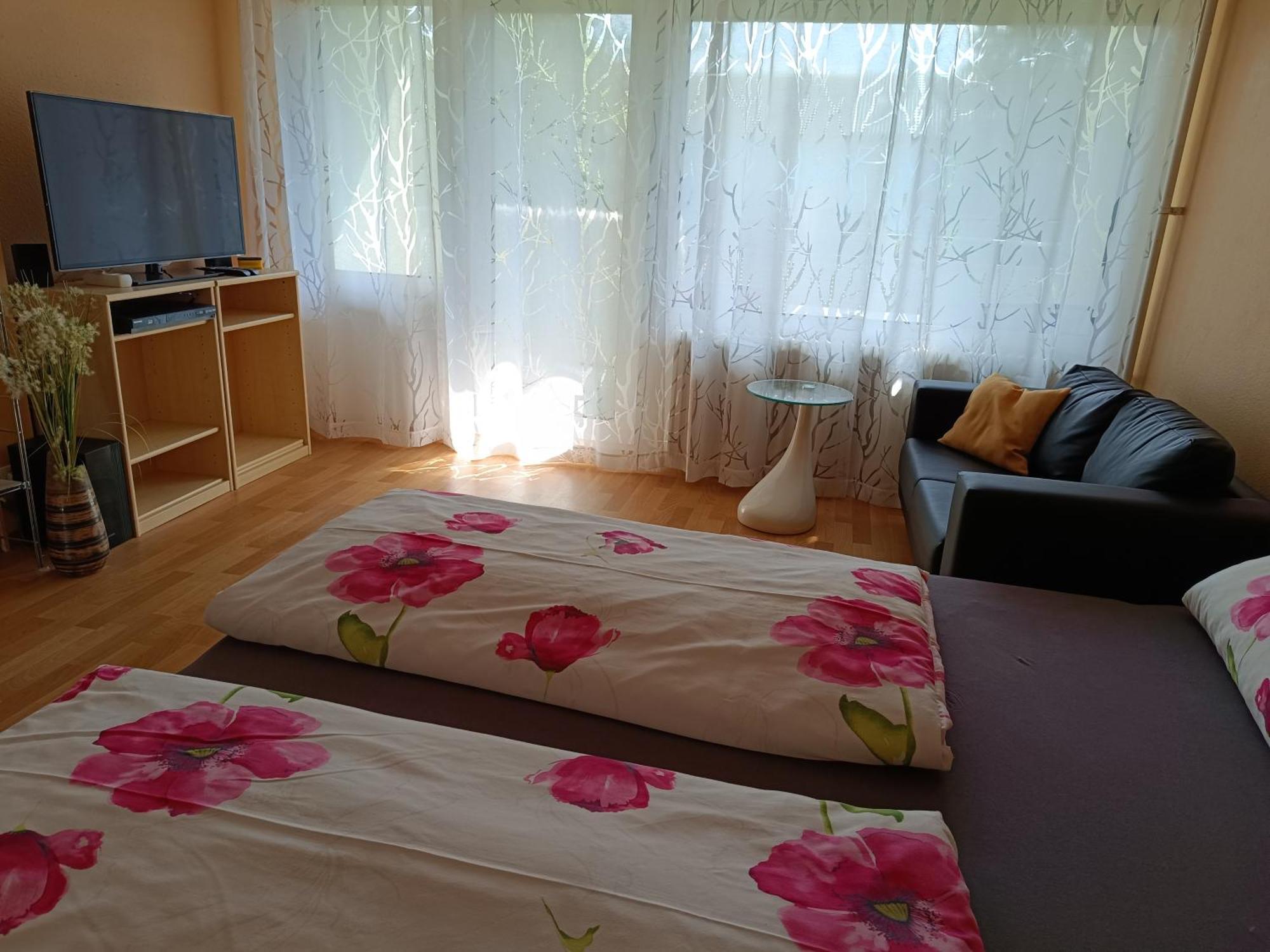 Offenburg Apartment 외부 사진