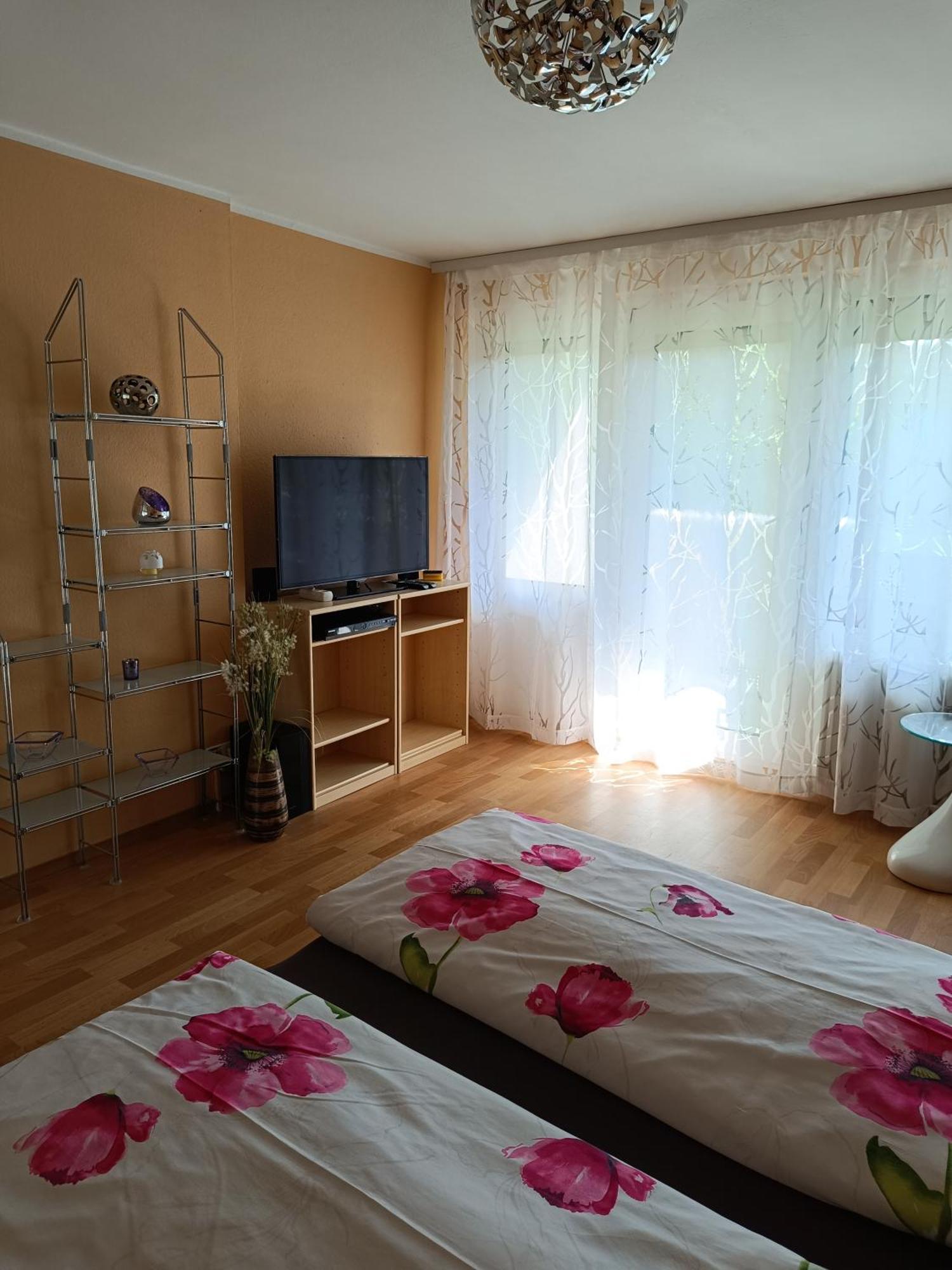 Offenburg Apartment 외부 사진